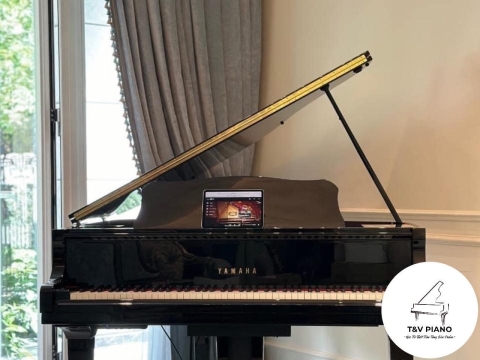Bộ Sưu Tập Đàn Piano Upgright
