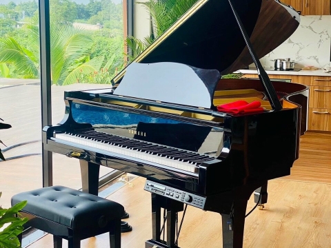 Grand Yamaha 100 Years
