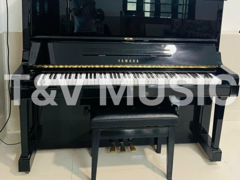 Bộ Sưu Tập Đàn Piano Upgright