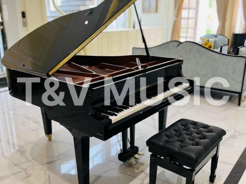 Bộ Sưu Tập Grand-T&V MUSIC 