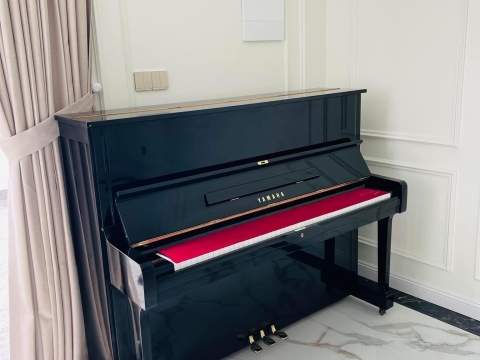 Bộ Sưu Tập Nhà Khách 