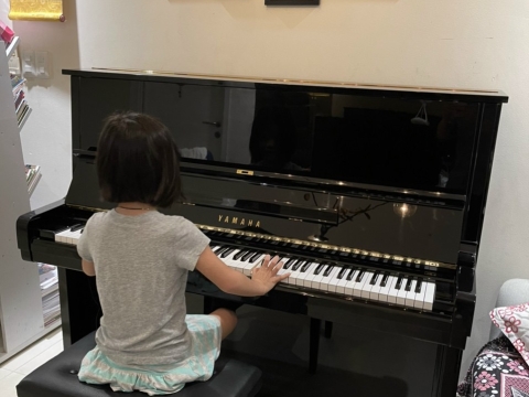 Hình Ảnh Bàn Giao Đàn