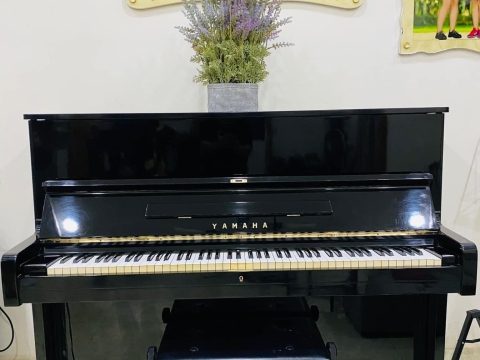 Bộ Sưu Tập Nhà Khách 