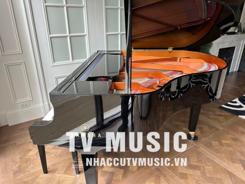 Bộ Sưu Tập Đàn Piano Upgright