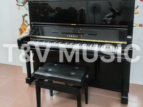 Bộ Sưu Tập Đàn Piano Upgright