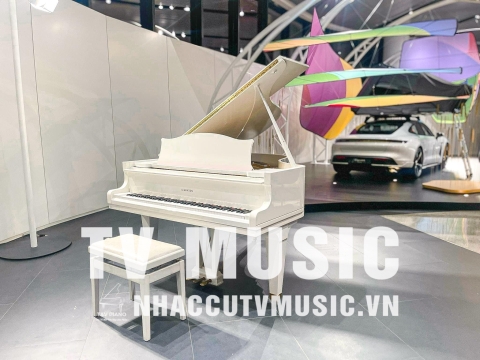 Bộ Sưu Tập Đàn Piano Upgright