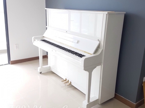 Hình Ảnh Bàn Giao Đàn