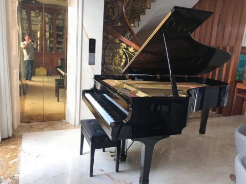 Bộ Sưu Tập Nhà Khách 