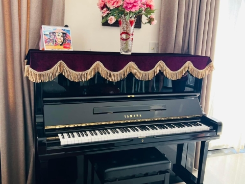 Bộ Sưu Tập Nhà Khách 