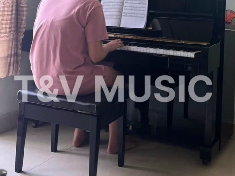 Bộ Sưu Tập Đàn Piano Upgright