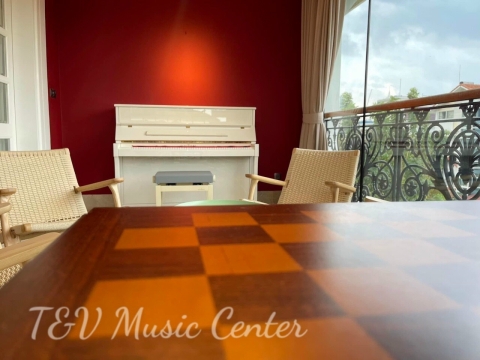 Hình Đẹp Tại Nhà