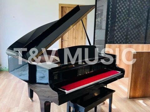 Bộ Sưu Tập Grand-T&V MUSIC 