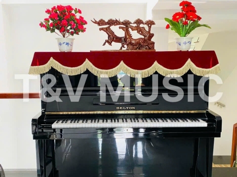 Bộ Sưu Tập Đàn Piano Upgright