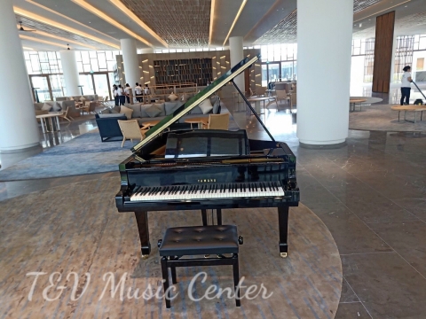 Grand Piano Tại Nhà Hàng
