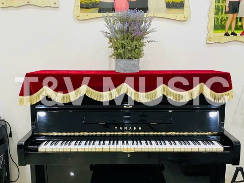 Bộ Sưu Tập Đàn Piano Upgright