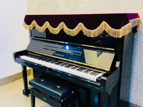 Bộ Sưu Tập Nhà Khách 