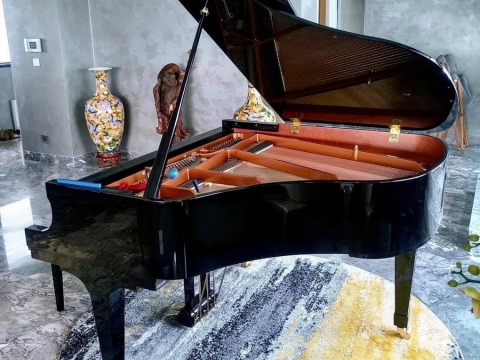 Hình Ảnh Bàn Giao Đàn