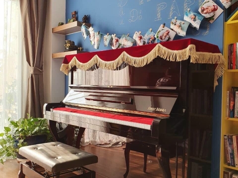 Hình Ảnh Bàn Giao Đàn