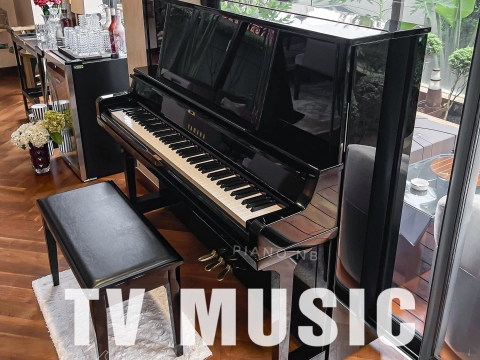 Bộ Sưu Tập Đàn Piano Upgright