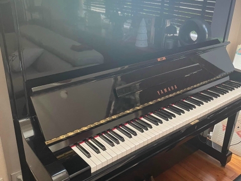 Hình Ảnh Bàn Giao Đàn