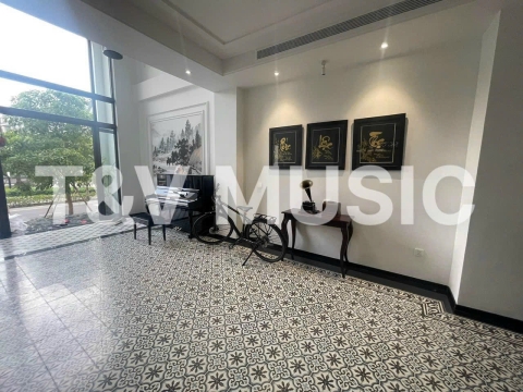 Bộ Sưu Tập Đàn Piano Upgright