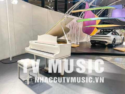 Bộ Sưu Tập Đàn Piano Upgright