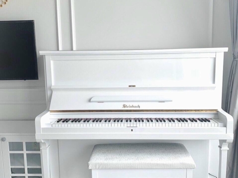 Màu Trắng Tinh Khôi