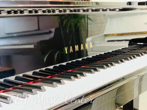 Grand Yamaha 100 Years