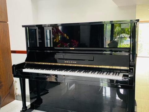 Bộ Sưu Tập Nhà Khách 