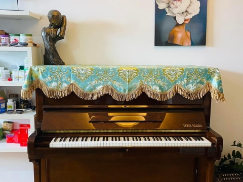 Bộ Sưu Tập Nhà Khách 