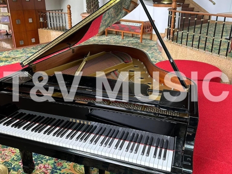 Bộ Sưu Tập Đàn Piano Upgright