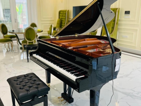 Bộ Sưu Tập Nhà Khách 