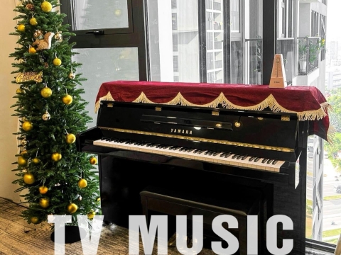 Bộ Sưu Tập Đàn Piano Upgright