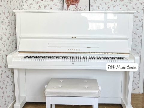 Màu Trắng Tinh Khôi