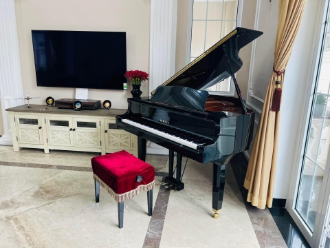 Bộ Sưu Tập Nhà Khách 