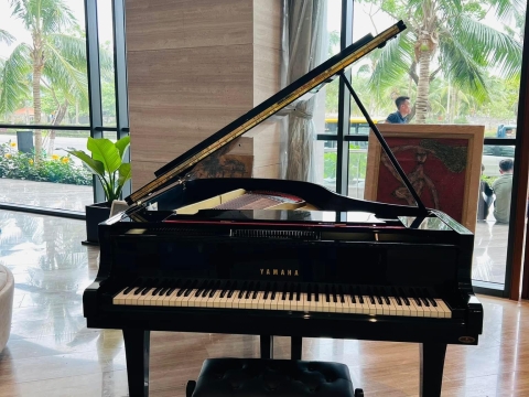 Bộ Sưu Tập Nhà Khách 