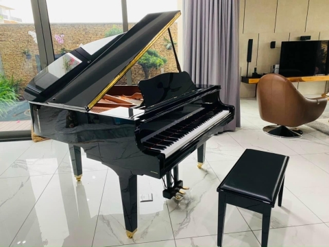 Bộ Sưu Tập Nhà Khách 