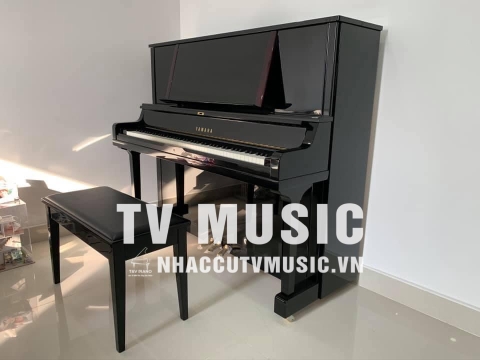 Bộ Sưu Tập Đàn Piano Upgright