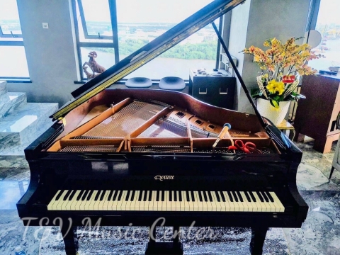 Hình Ảnh Bàn Giao Đàn