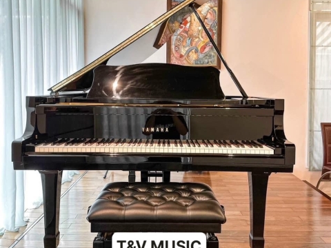Bộ Sưu Tập Đàn Piano Upgright