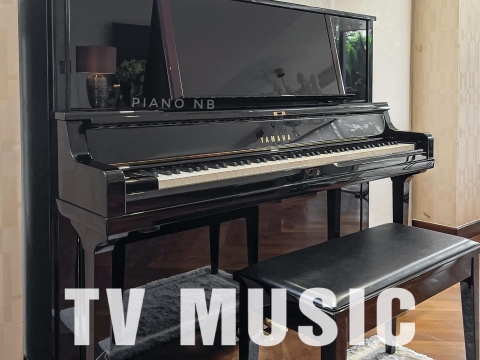 Bộ Sưu Tập Đàn Piano Upgright