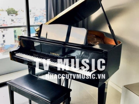 Bộ Sưu Tập Đàn Piano Upgright