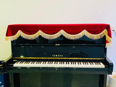 Bộ Sưu Tập Nhà Khách 