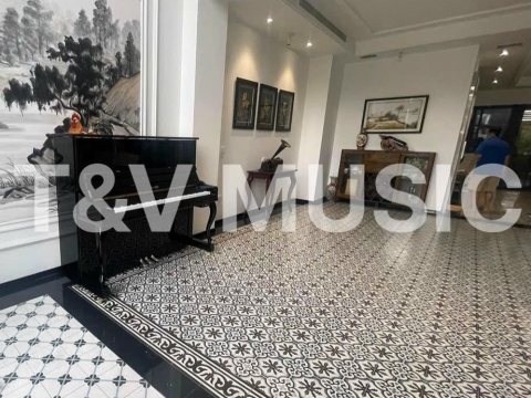 Bộ Sưu Tập Đàn Piano Upgright