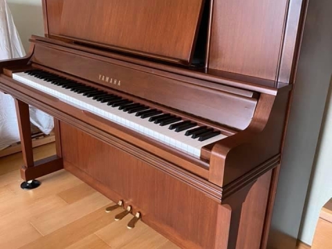 Yamaha UX300Wn