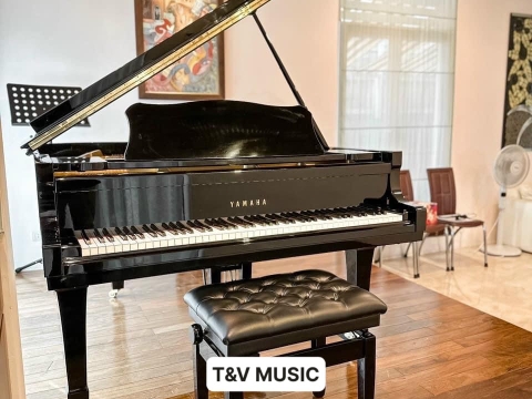 Bộ Sưu Tập Đàn Piano Upgright