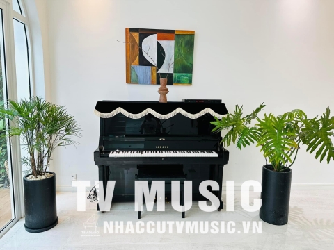 Bộ Sưu Tập Đàn Piano Upgright