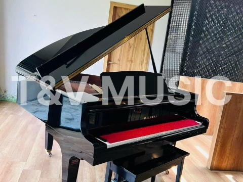 Bộ Sưu Tập Grand-T&V MUSIC 