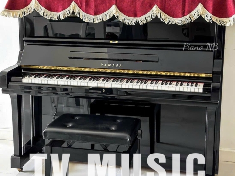 Bộ Sưu Tập Đàn Piano Upgright