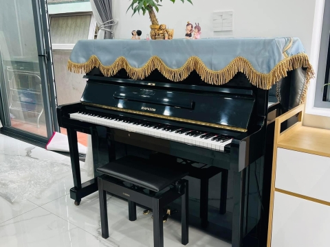 Bộ Sưu Tập Nhà Khách 